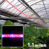 植物育成LEDロープライト