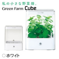 水耕栽培器 Green Farm Cube(グリーンファームキューブ)