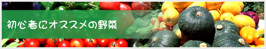 初心者にオススメの野菜