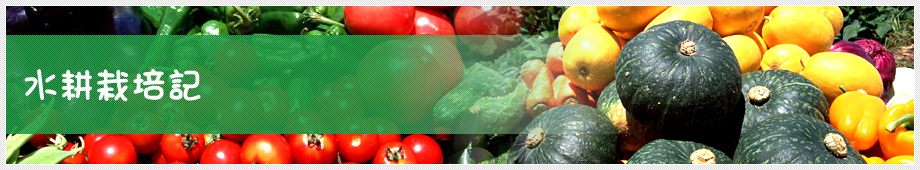 水耕栽培記