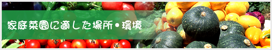 家庭菜園に適した場所・環境