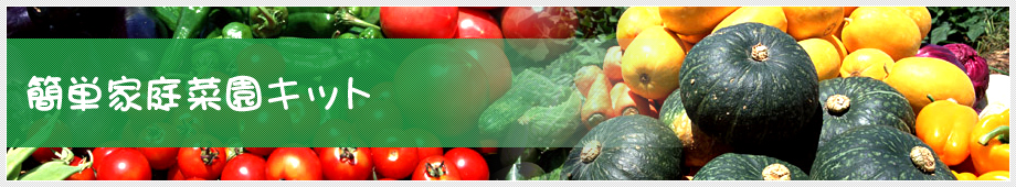 簡単家庭菜園キット
