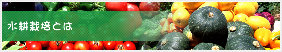 水耕栽培とは
