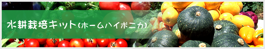 ホームハイポニカ（水耕栽培キット）