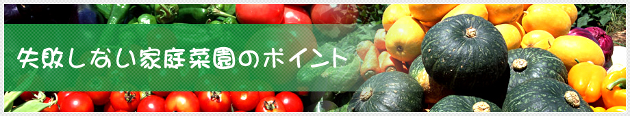 失敗しない家庭菜園のポイント
