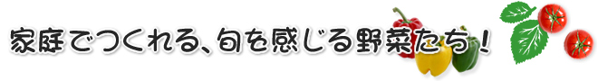 家庭でつくれる、旬を感じる野菜たち！