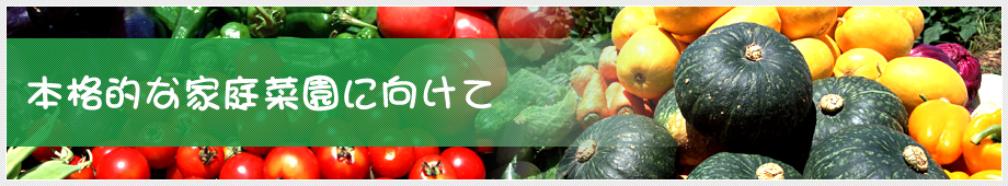 本格的な家庭菜園に向けて